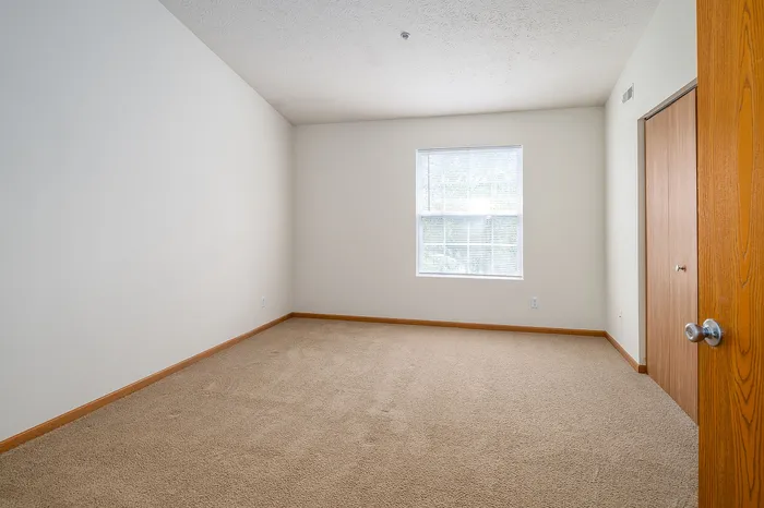 Bright and inviting empty room with plush carpeting, natural light from a large window, and warm wood trim.