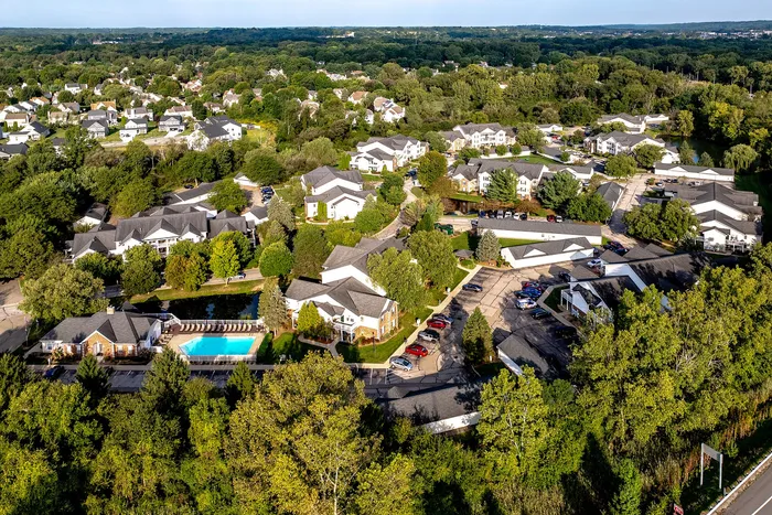 Scenic aerial view of a tranquil residential community surrounded by lush greenery, featuring well-maintained houses and a sparkling blue pool, perfect for a serene lifestyle.