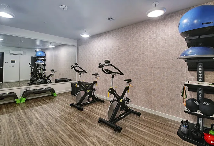 Modern fitness room with sleek exercise bikes, mirrored wall, and well-organized workout equipment for a convenient home gym experience.