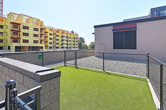 Bright outdoor space with fresh artificial grass, surrounded by a secure fence, offering a serene spot for relaxation amidst modern architecture.