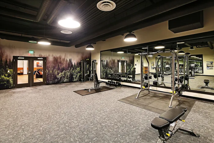 Modern fitness center featuring a mirrored wall, state-of-the-art gym equipment, and vibrant forest-themed mural decor.