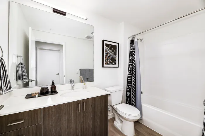 Elegant bathroom with modern vanity, large mirror, and stylish shower curtain, offering a serene retreat.
