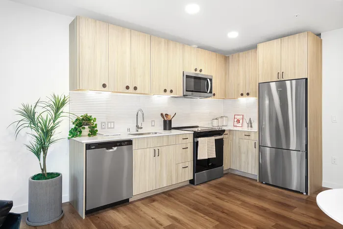Contemporary kitchen with sleek stainless steel appliances, elegant wood cabinetry, and stylish indoor plants.
