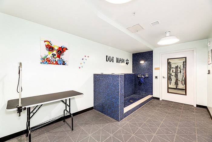 Chic apartment dog wash station with elegant blue tiling and modern artwork, perfect for pet lovers.