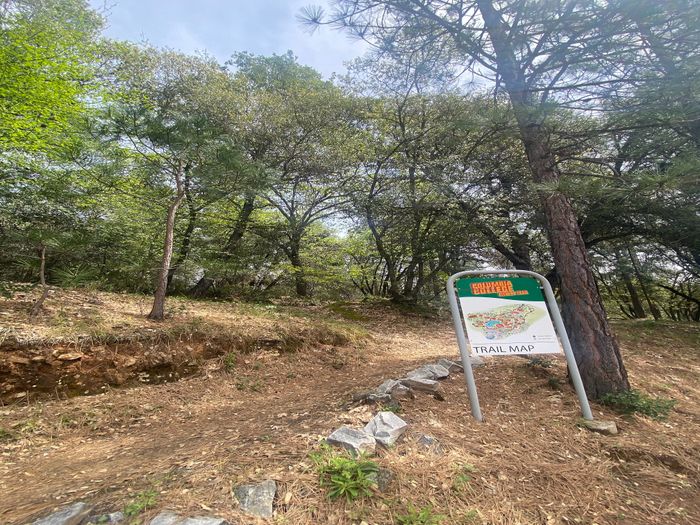 Inviting woodland trail with a trail map sign nestled among vibrant trees and natural beauty.