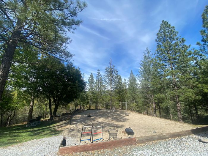 Tranquil outdoor space surrounded by lush pine trees, featuring a spacious seating area perfect for relaxation.