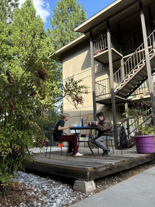 Charming apartment outdoor space featuring a wooden deck with a table and chairs, surrounded by lush greenery under a clear blue sky.