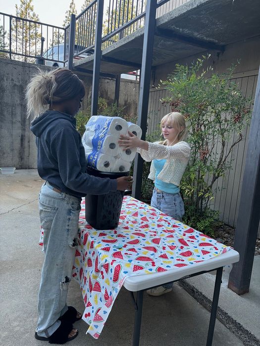 Two people enjoy a sunny outdoor setting, sharing a large pack of paper towels atop a vibrantly patterned tablecloth, surrounded by lush greenery.