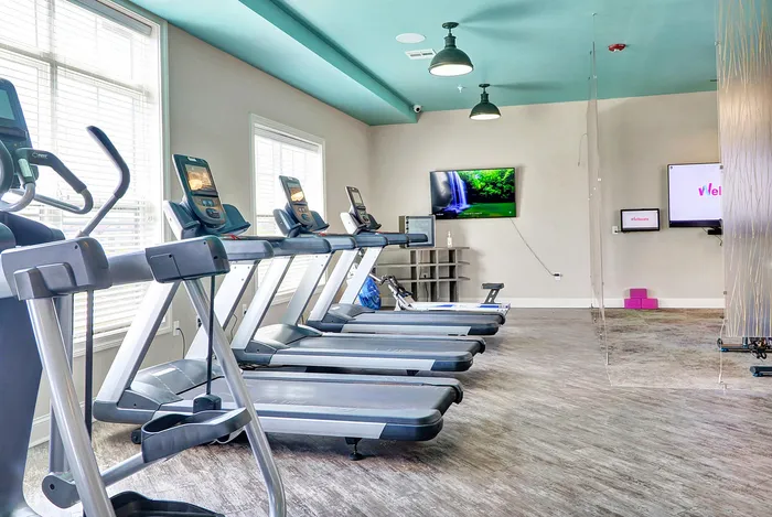 Bright and modern gym with multiple treadmills, large windows, and stylish decor.