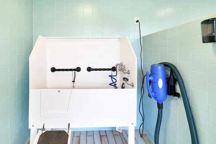 Modern pet washing station with sleek blue tiles and advanced washing tools for a convenient grooming experience.