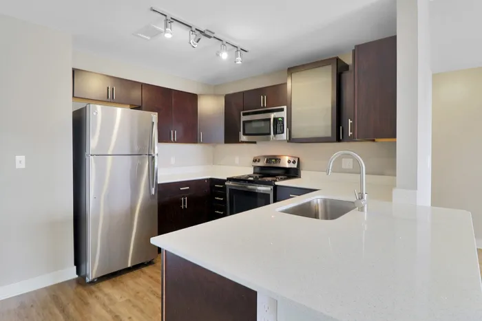 Contemporary kitchen with sleek stainless steel appliances, elegant dark cabinetry, and a sparkling quartz countertop island.