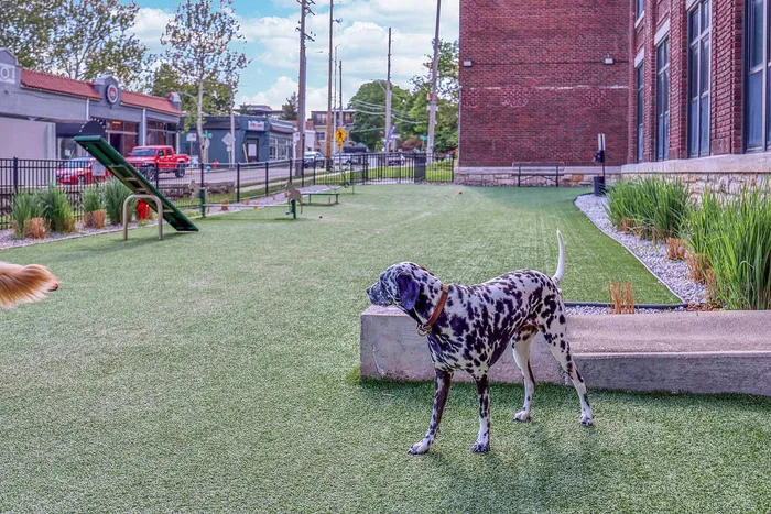 Charming pet-friendly apartment exterior featuring a vibrant dog park with lush greenery and a playful Dalmation.