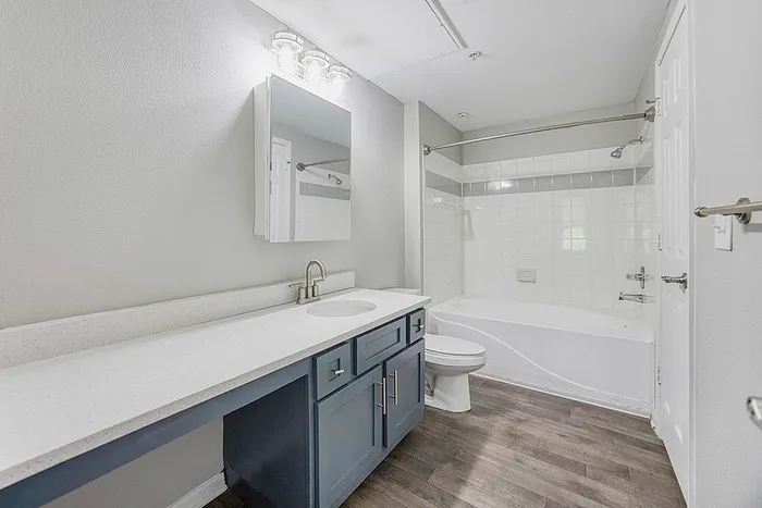 Modern bathroom with elegant fixtures, spacious vanity, and inviting bathtub, featuring sleek wood flooring.