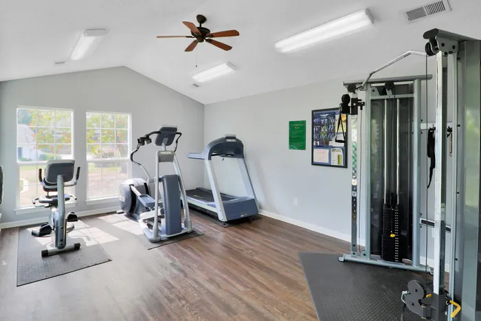 Bright and modern fitness room featuring top-of-the-line exercise equipment, including a treadmill and an elliptical, with large windows for natural light.