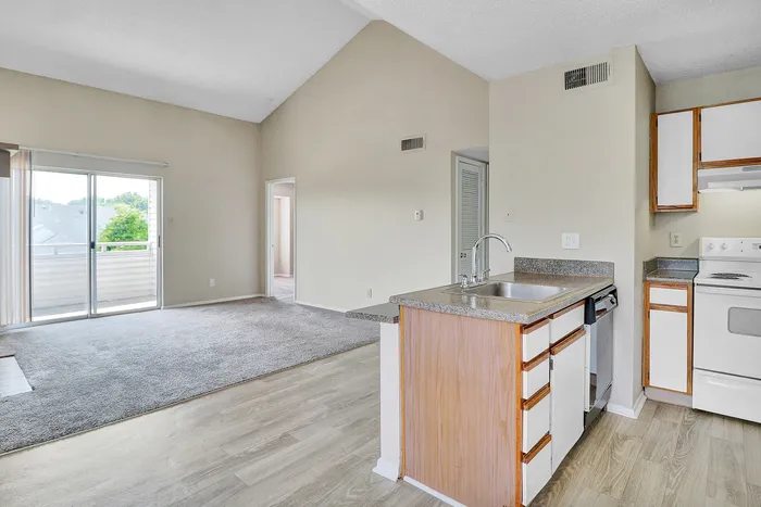 Bright open-concept apartment with a modern kitchen, cozy living area, and sliding glass doors leading to a sunlit balcony.
