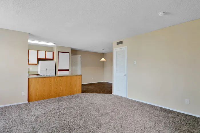 Inviting open-plan living space featuring a cozy carpeted area, modern kitchen with wooden cabinetry, and elegant lighting.