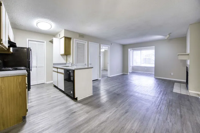 Bright and modern open-concept apartment with sleek flooring, spacious kitchen, and large windows illuminating the living area.