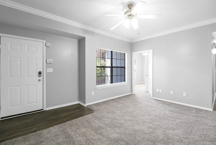 Bright, modern living area with plush carpet flooring, ceiling fan, and inviting natural light from a large window.