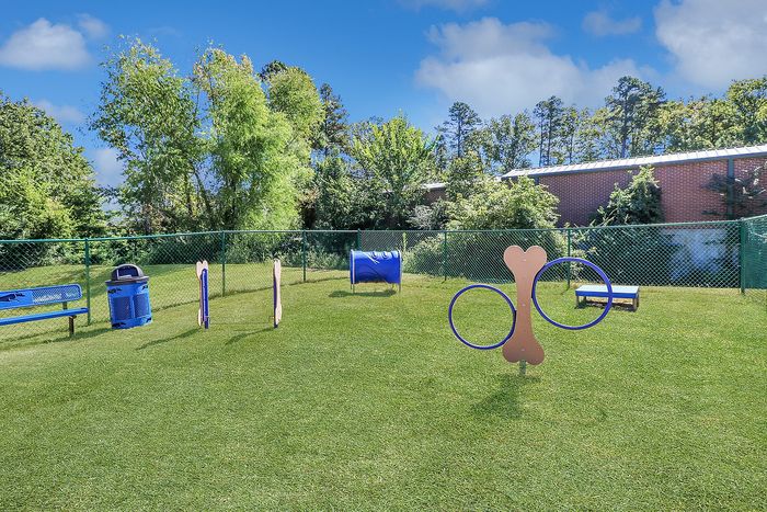 Sunny fenced dog park with agility equipment, bright green grass, and lush surrounding trees, perfect for playful pets.