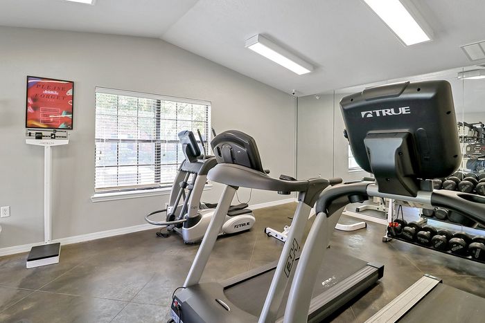 Modern fitness center with high-end treadmills and wall mirrors, perfect for an energizing workout experience.