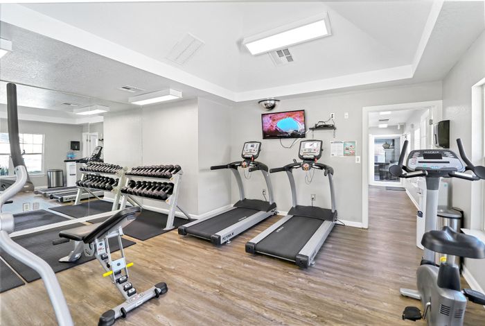 Modern fitness center with state-of-the-art equipment including treadmills, stationary bike, free weights, and mirrored walls for an enhanced workout experience.