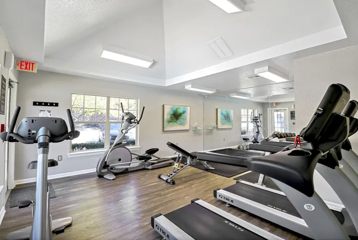 Modern apartment gym with sleek exercise equipment, mirrored walls, and abundant natural light for an invigorating workout experience.