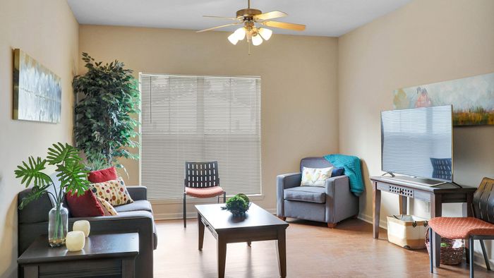 Inviting living room with cozy gray sofas, vibrant pillows, lush indoor plant, and modern decor.