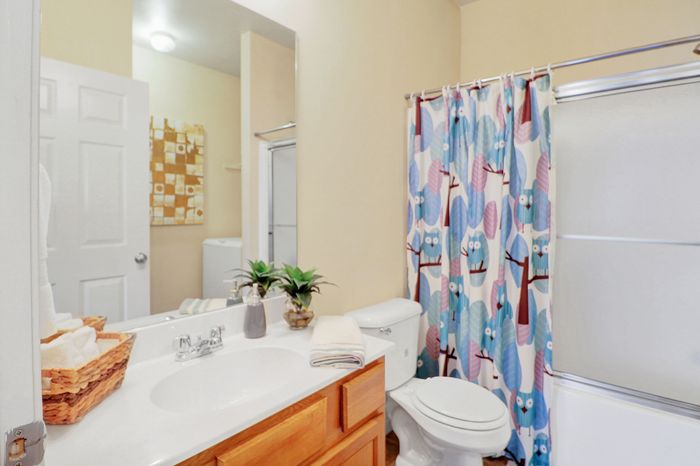 Charming bathroom with playful owl-themed shower curtain, elegant vanity, and inviting ambiance.