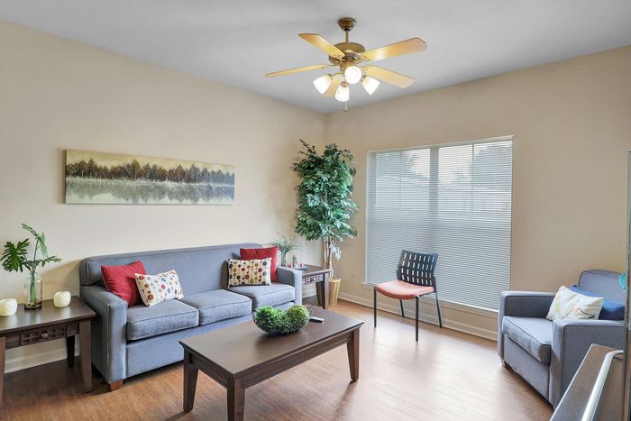 Elegant living room with modern decor, featuring a cozy gray sofa, vibrant cushions, stylish wooden furniture, and natural light through large blinds.