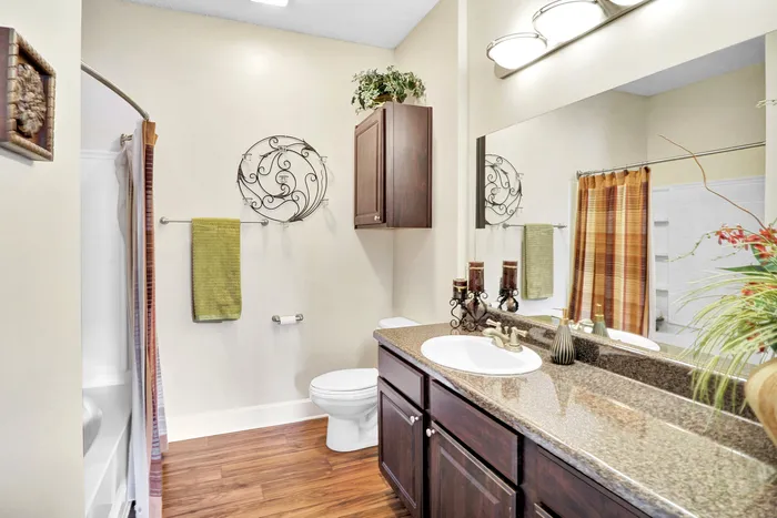 Elegant bathroom with modern fixtures, granite countertop, and cozy wooden flooring, featuring stylish decor accents and a bright atmosphere.