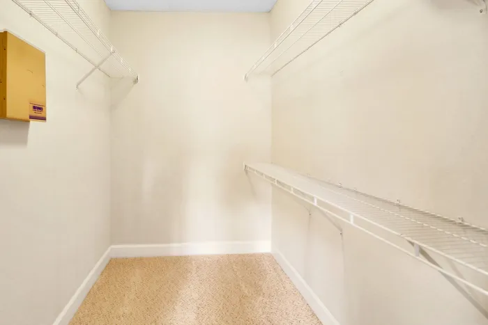 Spacious walk-in closet with ample shelving and warm, inviting carpeting.