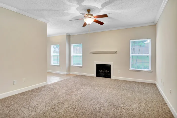 Bright and inviting living space featuring plush carpeting, a cozy fireplace, and abundant natural light from multiple windows, ideal for relaxation and gatherings.