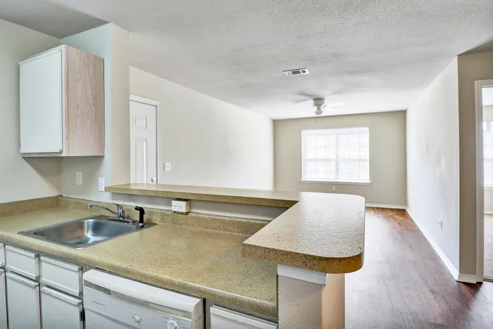 Bright and airy open-plan living space featuring a modern kitchen with a sleek countertop, adjacent to a spacious living area with abundant natural light.