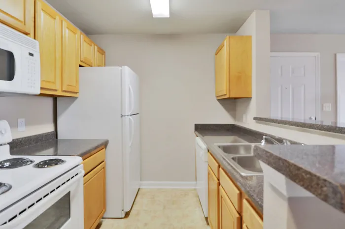 Bright, modern kitchen with sleek countertops, ample wooden cabinetry, and built-in appliances.