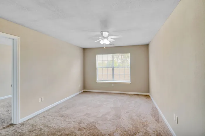 Bright and spacious bedroom with plush carpet, soft neutral walls, and a large window allowing natural light to fill the room.