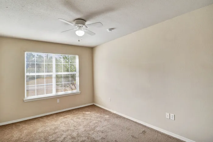 Bright and inviting bedroom with plush carpet, large window, and modern ceiling fan.