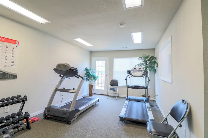 Bright and inviting home gym featuring modern treadmills, a set of dumbbells, and natural lighting.
