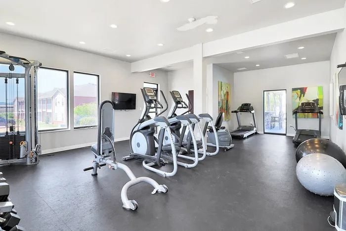 Bright and modern fitness center equipped with state-of-the-art cardio machines, resistance equipment, and stability balls, featuring large windows for a vibrant workout environment.