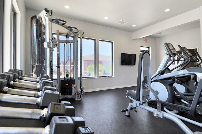 Modern apartment gym featuring state-of-the-art cardio equipment, sleek weight machines, and expansive windows for a bright workout experience.