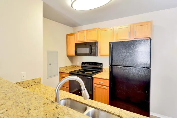 Modern kitchen with elegant granite countertops, sleek black appliances, and stylish wooden cabinetry for a contemporary feel.
