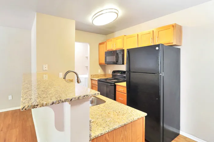 Modern kitchen featuring sleek black appliances, elegant granite countertops, and warm wood cabinetry.