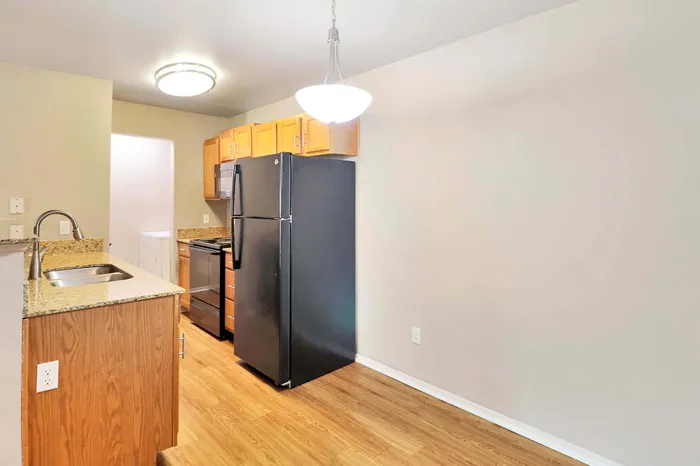 Bright, modern kitchen with sleek black appliances, granite countertops, and elegant lighting.