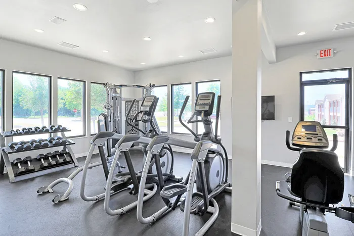 Bright and modern fitness center with cardio machines and weights, surrounded by large windows offering natural light and scenic views.