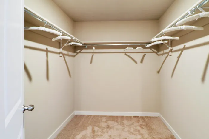 Spacious walk-in closet with ample hanging space and plush carpeting, offering stylish storage solutions.