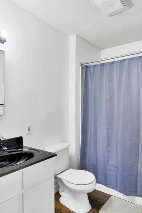 Bright, modern bathroom with elegant fixtures, sleek black countertop, and refreshing blue shower curtain.