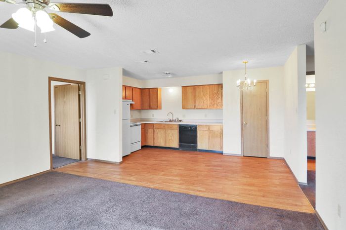 Inviting open-concept apartment with cozy carpeted living area, elegant kitchen cabinetry, and warm wooden flooring.