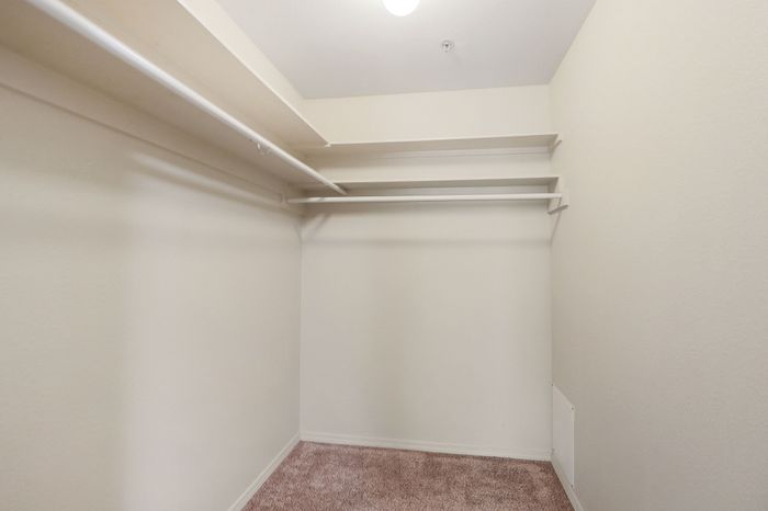 Spacious walk-in closet with built-in shelving and carpeted flooring, perfect for organized living.