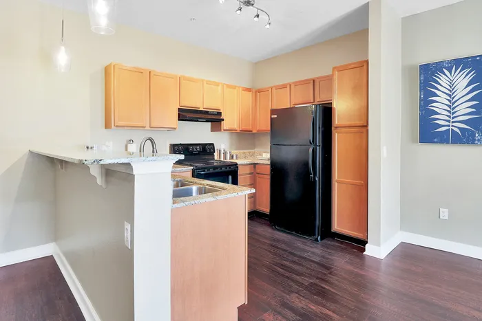 Bright kitchen with modern wooden cabinetry, granite countertops, sleek black appliances, and stylish pendant lighting.
