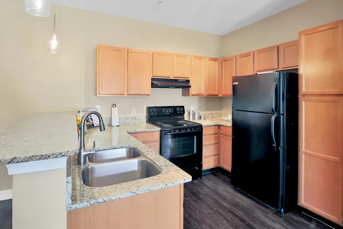Modern kitchen with elegant wooden cabinetry, sleek granite countertops, double sink, and stylish black appliances.