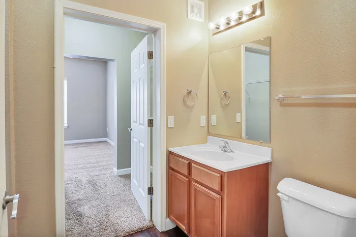 Inviting bathroom with chic vanity and warm lighting leading to a cozy, carpeted bedroom.
